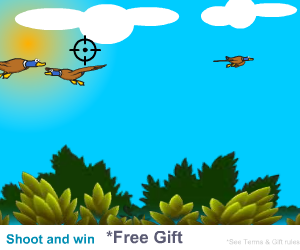 Bird Shoot