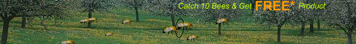 Catch Bees