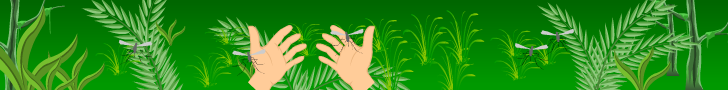 Mosquito